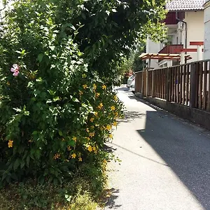 Sunflower Ljubljana